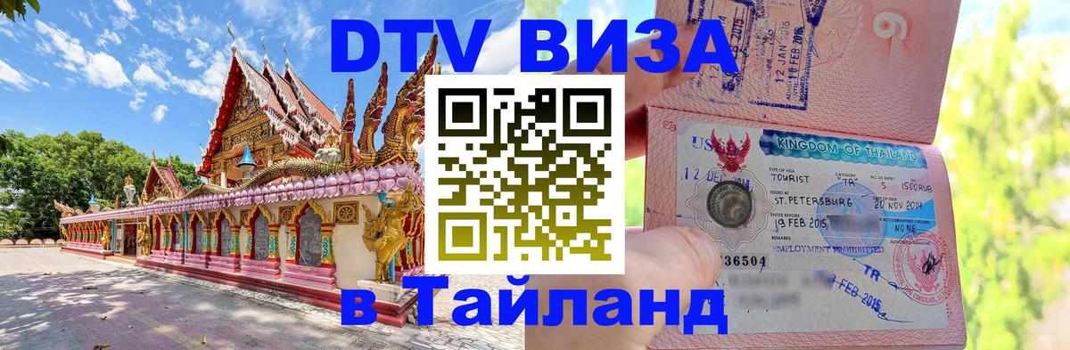 Оформление DTV визы под ключ: стоимость и тарифы, только загранпаспорт - Новомосковск  20.11.2025 